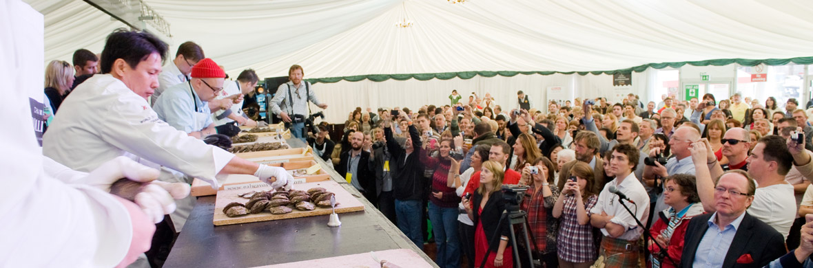 Take a bite out of this food festival 