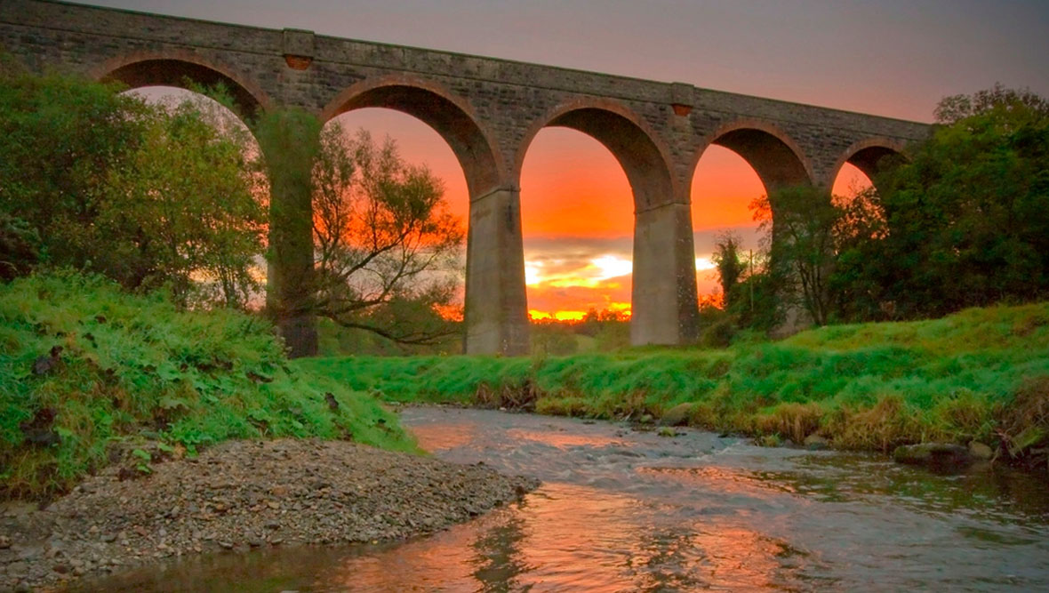 spring-images-ireland_tassgh-do-not-use-elsewhere