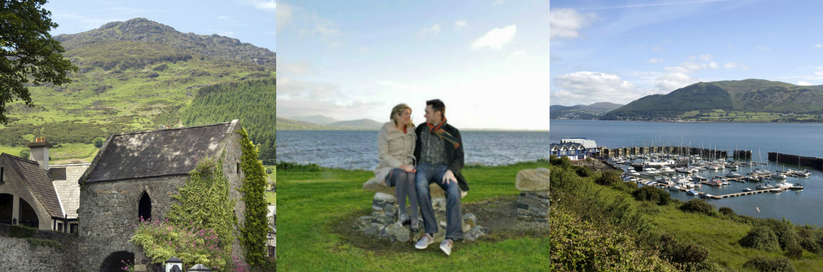stones-of-irelands-ancient-east-strip-four