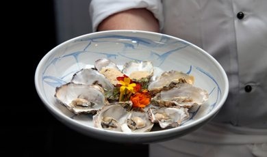 oyster-festival-we-rec
