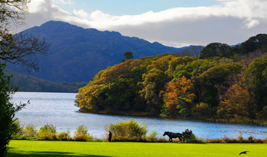 killarney-three-up