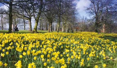 we-recommend-spring-resized