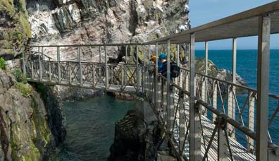Stretto camminamento sul costone roccioso di The Gobbins con ringhiere, che si affaccia su un mare turchese sotto cieli sereni.