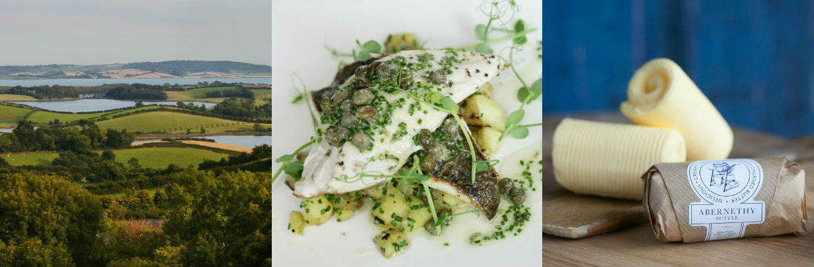 Patchwork countryside with lakes, grilled fish dish with herbs, and Abernethy butter rolls at Strangford Lough, Down.