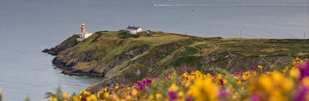 Blick auf den Leuchtturm Howth Head vom Trail gesäumt von gelben und violetten Wildblumen, in der Nähe von Dublin.