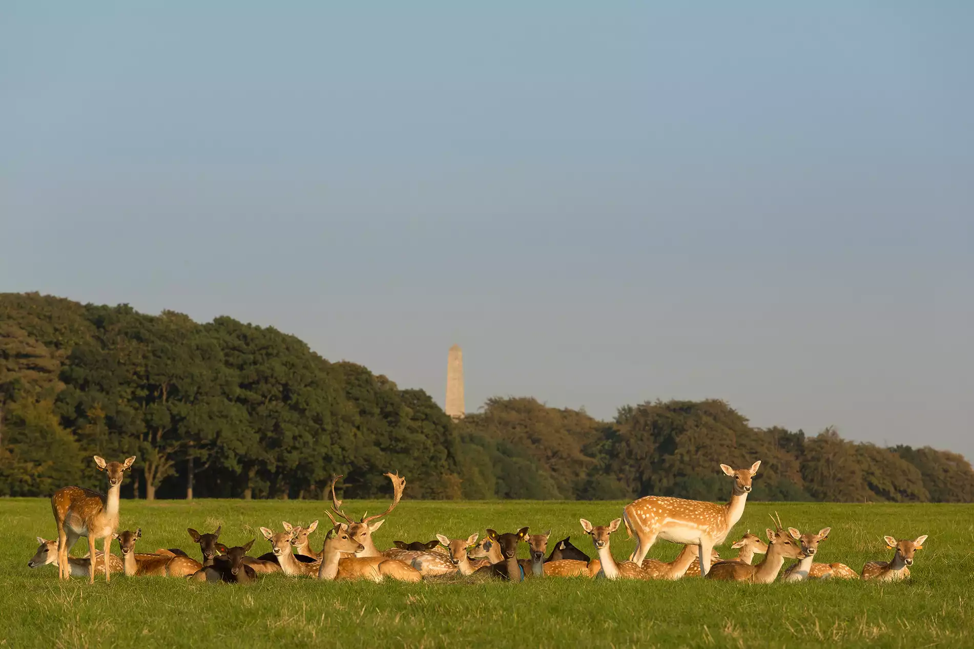 image fenómenos naturales en Irlanda ba699ea21ace453bb065be31e88a1f6e