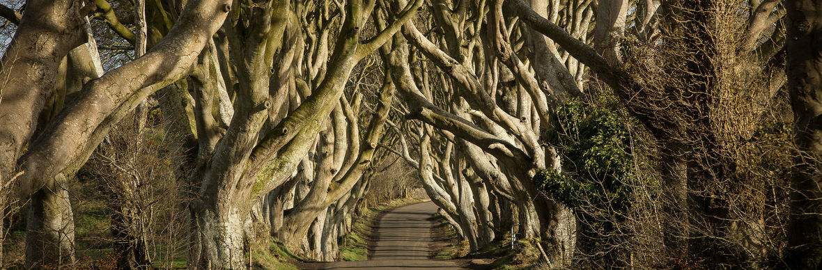 amazing-places-ni-strip-got