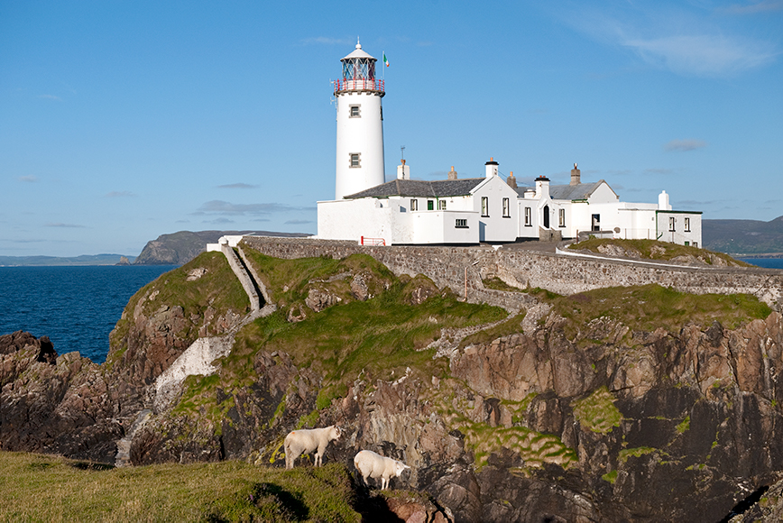 Dos ovejas pastan cerca del faro de Fanad Head, encaramado en altos acantilados sobre el Atlántico en Donegal.