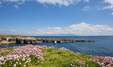 surf-coast-inishmurray-bg-werec