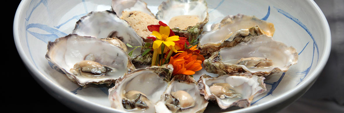 oyster-strip