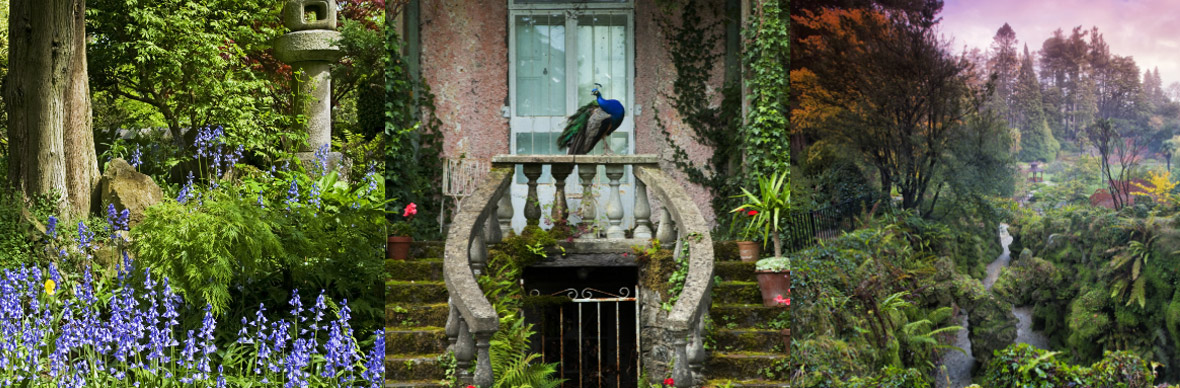 gardens-of-iae-strip-two