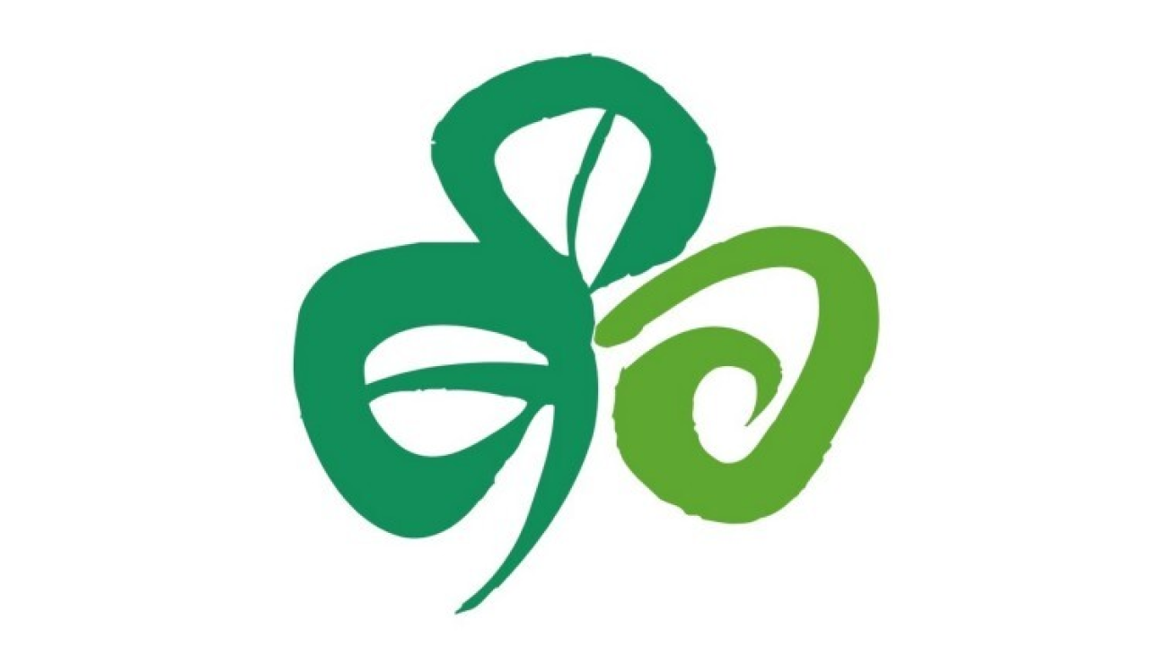 ti-shamrock 12