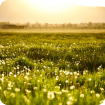 board-settings-sample-image-3