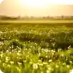 board-settings-sample-image-3