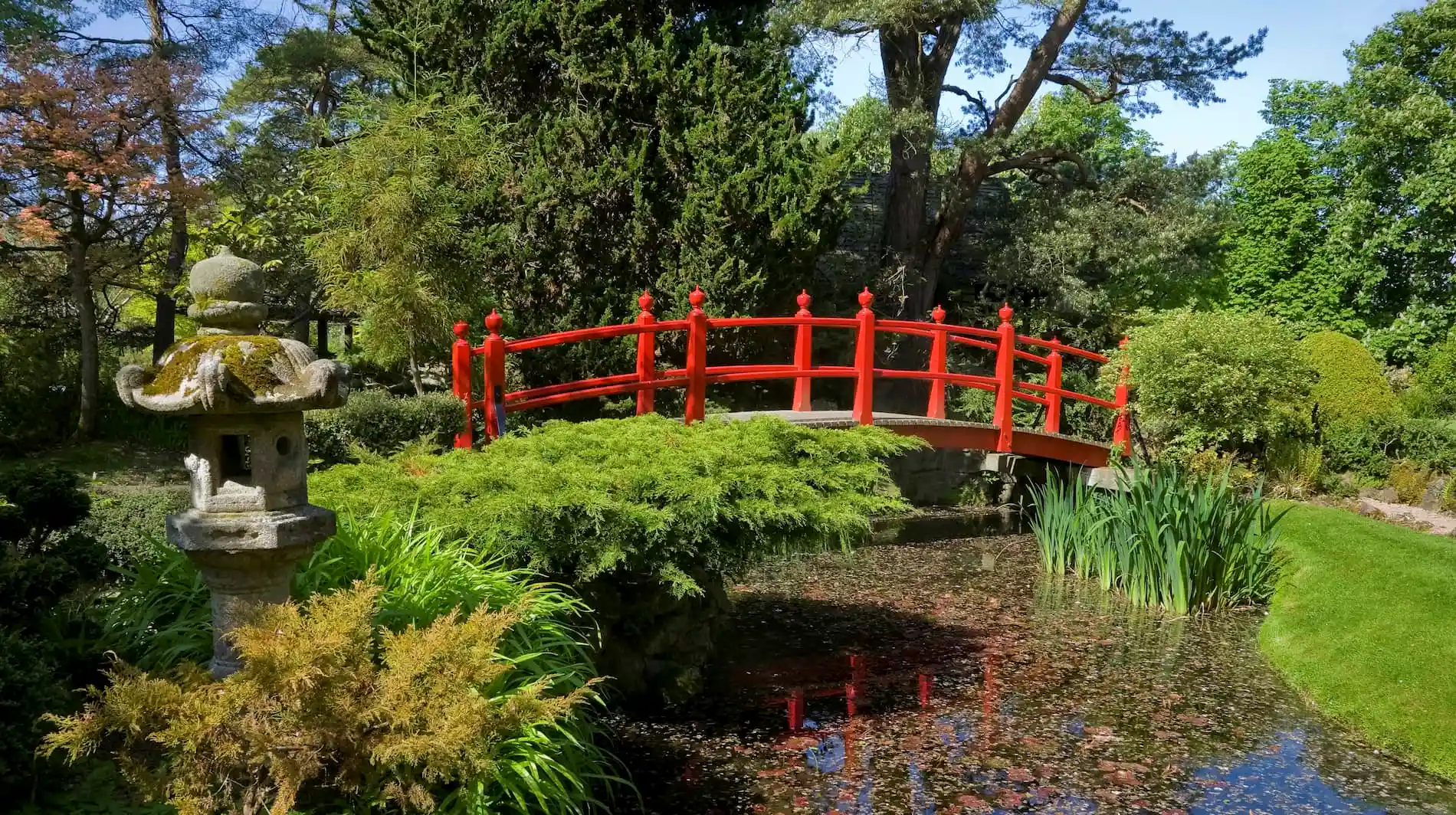 my-ireland-red-bridge-japanese-gardens-county-kildare
