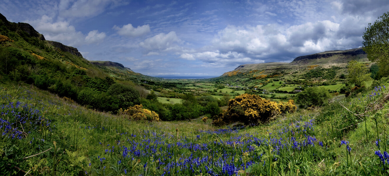 Wildflowers blooming in Glenariff Valley, County Antrim, with sweeping views towards the coast.