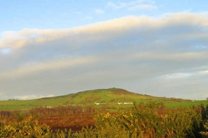 County Offaly | Ireland.com