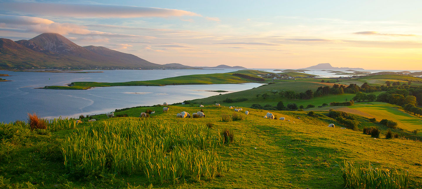 Example-Image-Westport