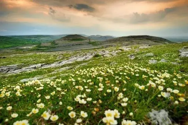 Explore The Burren with TD active Holidays