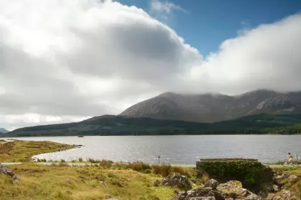 House of Ireland: Ireland at a glance (8d)