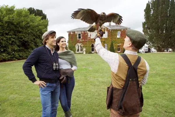Two Night Stay with a ‘Hawk Walk’