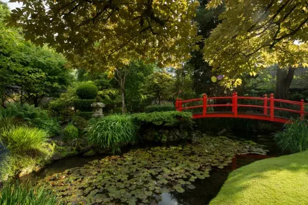 Discover beautiful gardens!