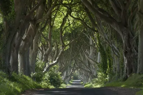 Game of Thrones & Noord-Ierland per spoor