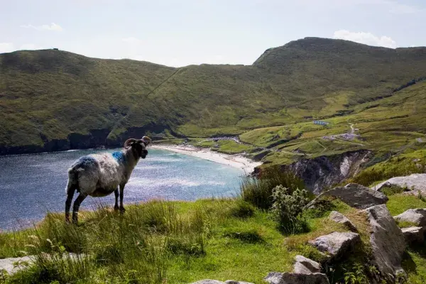 Imagine Travel: Hidden Heartlands van Ierland