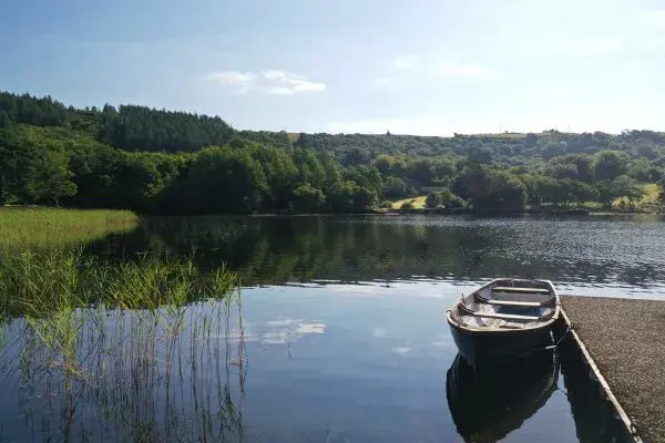 Momenti di pace sul lago Caragh