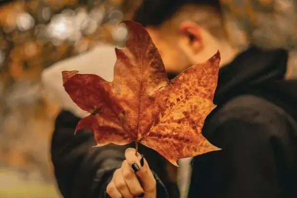Autumn Breaks at The Newgrange Hotel