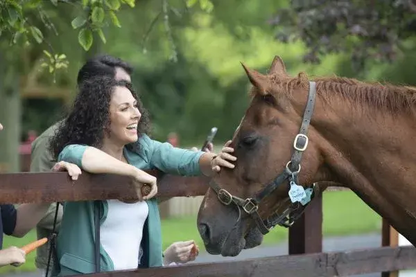 Immerse yourself in horses and horticulture