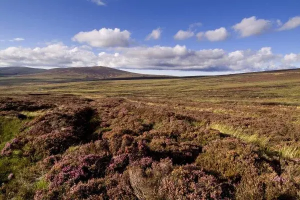 Fly-drive Echt Ierland (12d) met korting! 