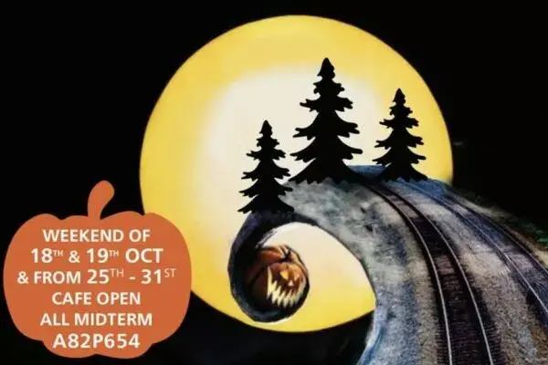 Pumpkins in the Pines – Family Fun