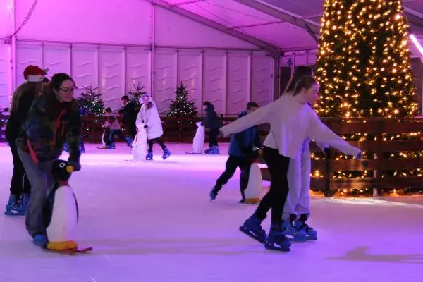 Wicklow on Ice