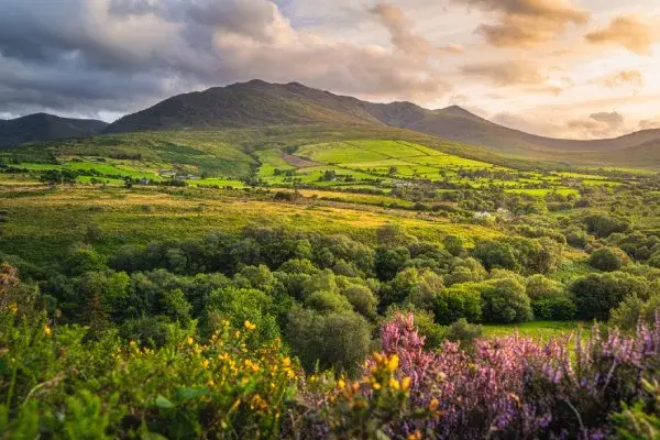 Irland in aller Ruhe