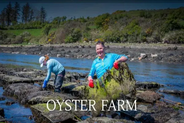 Inside Ireland's Food Stories