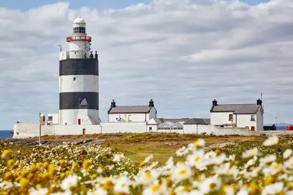 Ancient Heart of Ireland &lpar;11d&rpar;