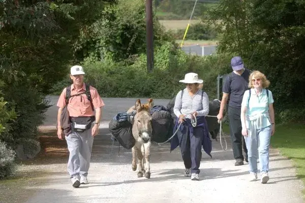 Im Takt des Langohrs&colon; Wandern mit einem Esel