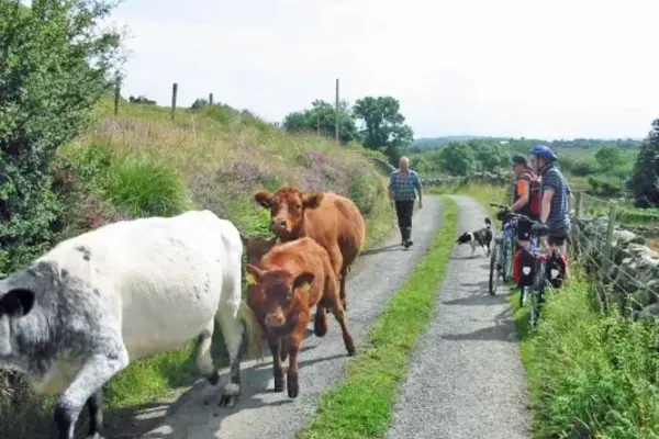 Radtour f&uuml;r Anf&auml;nger