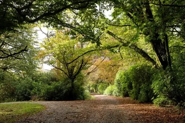 Discover Ireland's Wild Beauty with Expert
