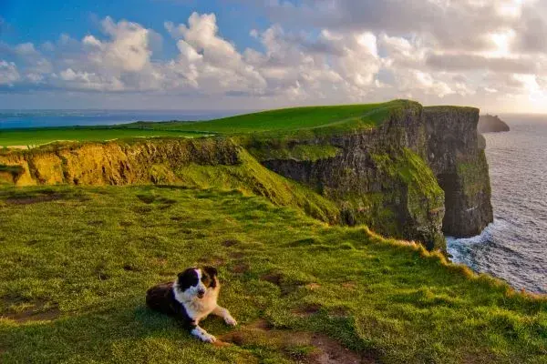 Belco Travel&colon; King & Kinsmen &lpar;8d&rpar;