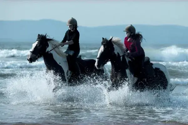 WANDERREITEN auf dem &OpenCurlyDoubleQuote;Wild Atlantic Way&rdquo;