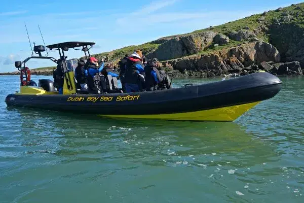 Dublin Bay Sea Safaris