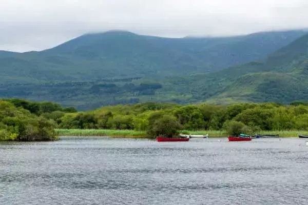 IRLANDA SLOW & GREEN - Tour in auto
