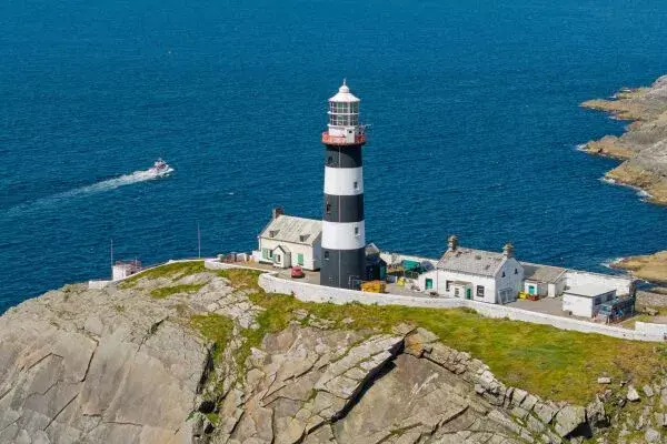 Whale and Wildlife tour