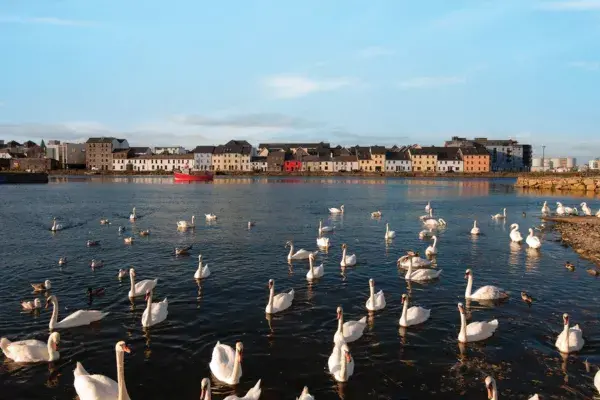 Last Minute Deals&colon; Save on Summer 2026