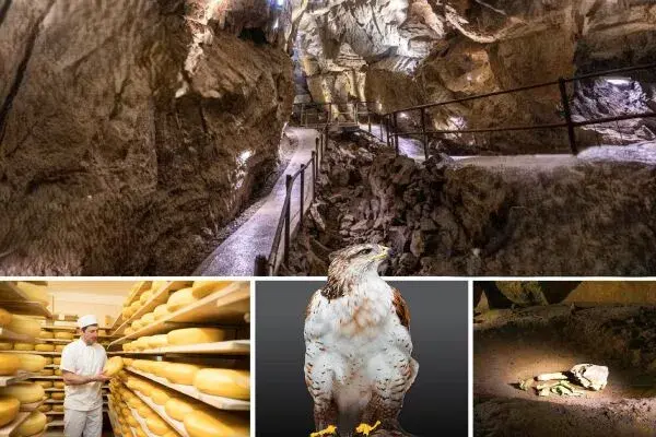 Enjoy 10&percnt; Off the Aillwee Burren Experience