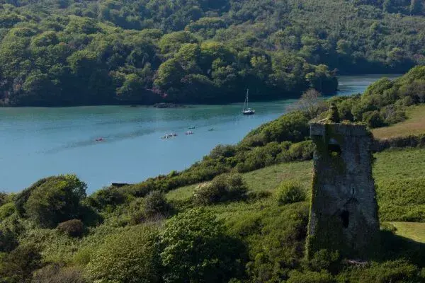 Explore the Wonders of Daytime Kayaking