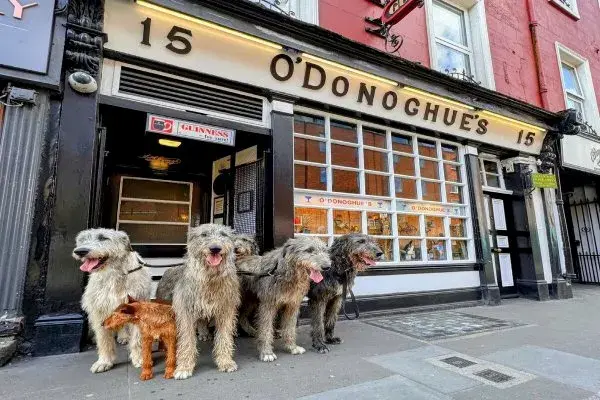 Dubl&iacute;n y Belfast&colon; Encantos Celtas con BTravel