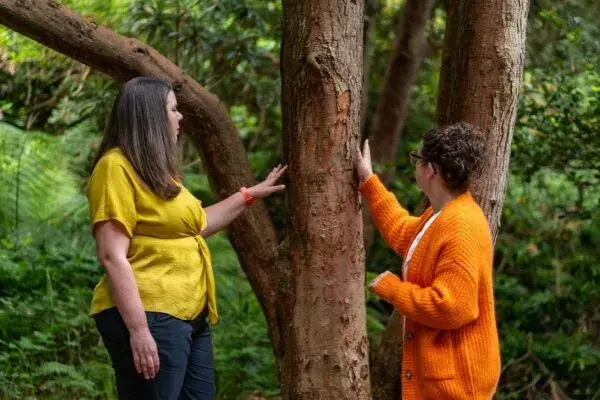 Echoes of the Ancients&colon; A Nature Journey